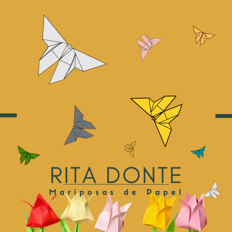 Mariposas de papel